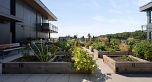 306 2450 Garden Drive