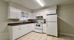 Lower 120 SPRINGER AVENUE, Burnaby BC V5B 3K3