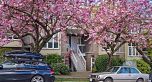 2251 Heather Street