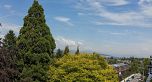 601 4427 Cambie Street