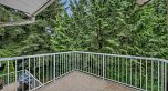 3460 Amberly Place