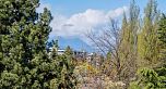 509 4867 Cambie Street