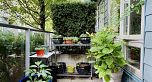4886 Eldorado Mews