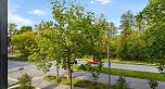303 5410 Shortcut Road