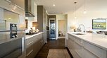 302 4427 Cambie Street