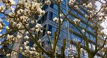 410 Beach Crescent
