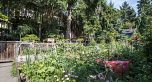 2 1152 Comox Street