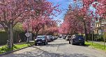 14 W 14th Avenue