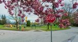 411 5733 Alberta Street