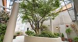 202 1688 Robson Street