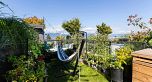 411 2520 Guelph Street