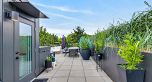 411 2520 Guelph Street