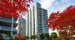 1303 1777 Bayshore Drive