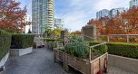 2006 1008 Cambie Street