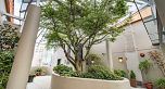 306 1688 Robson Street