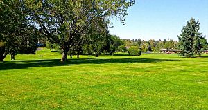 503 7638 Cambie Street Marpole