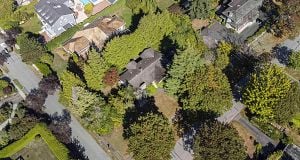 5595 College Highroad University VW