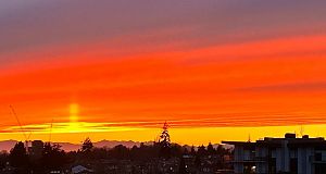 609 7428 Alberta Street South Cambie