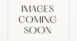 208 W 13th Avenue Mount Pleasant VW