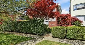 8 2255 W 40th Avenue Kerrisdale