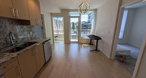 411 1708 Ontario Street Mount Pleasant VE