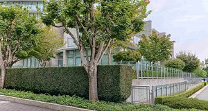 1582 Homer Mews Yaletown