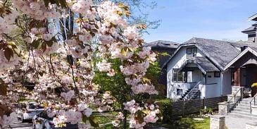 Photo of 3841 W 24TH AVENUE, Vancouver BC V6S 1L8 in Vancouver