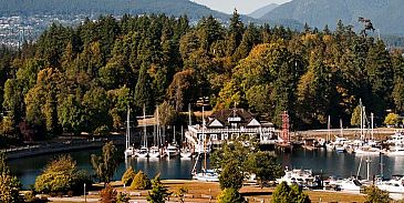 Photo of 1101 1863 Alberni Street in Vancouver