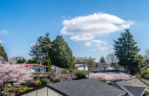 8182 CARTIER STREET Marpole