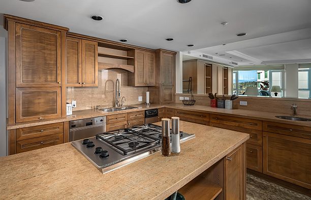 PH13 1717 BAYSHORE DRIVE, Vancouver BC V6G 3H3 Coal Harbour
