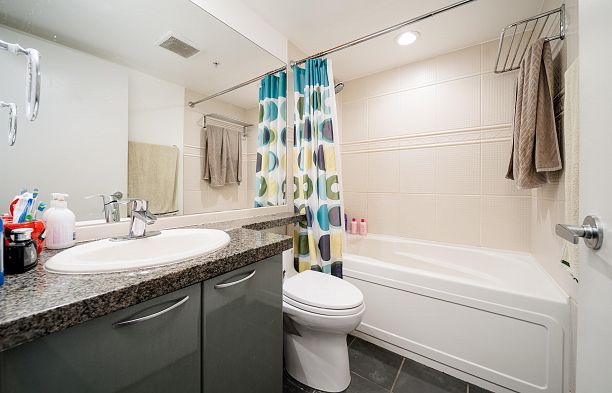 305 1068 HORNBY STREET, Vancouver BC V6Z 2Y7 Downtown VW