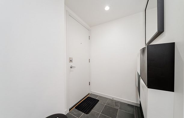 305 1068 HORNBY STREET, Vancouver BC V6Z 2Y7 Downtown VW