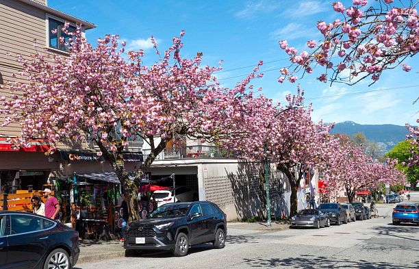 PH12 2125 York Avenue Kitsilano