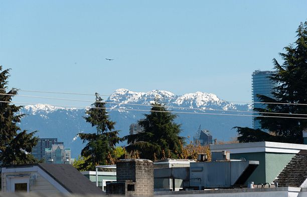 PH12 2125 York Avenue Kitsilano