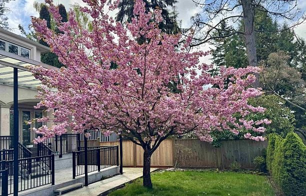 7165 MAPLE STREET, Vancouver BC V6P 5P5 S.W. Marine