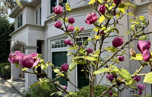 7165 MAPLE STREET, Vancouver BC V6P 5P5 S.W. Marine
