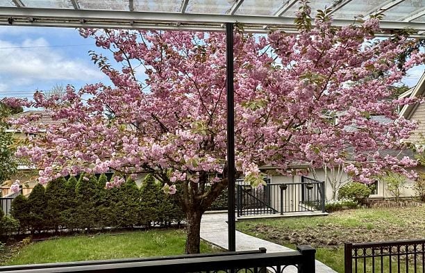 7165 MAPLE STREET, Vancouver BC V6P 5P5 S.W. Marine