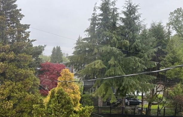 4309 LOCARNO CRESCENT, Vancouver BC V6R 1G2 Point Grey