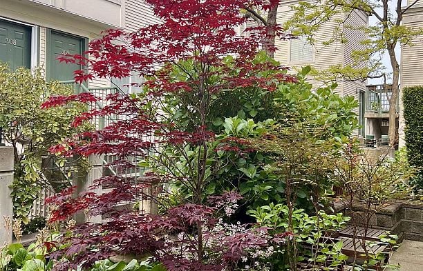 311 3727 W 10th Avenue Point Grey