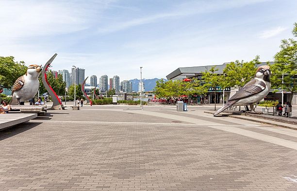 206 12 Athletes Way False Creek
