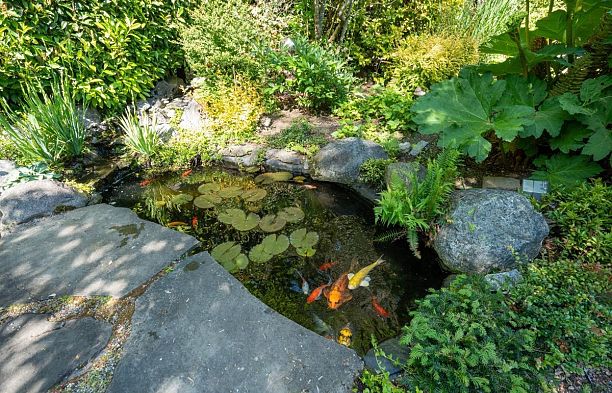 1850 W 30th Avenue Shaughnessy