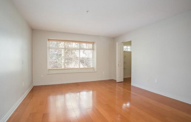 5428 Larch Street Kerrisdale