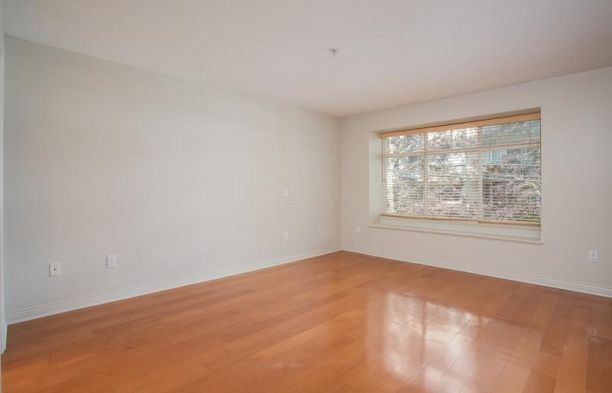 5428 Larch Street Kerrisdale