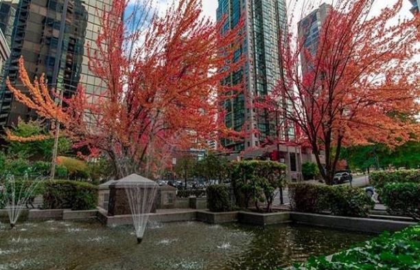 303 1415 W Georgia Street Coal Harbour