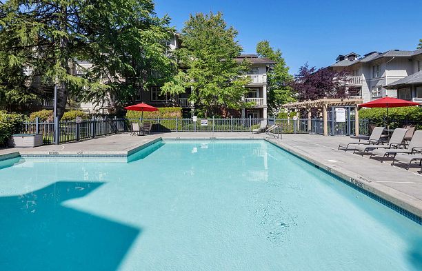 201 4883 Maclure Mews Quilchena