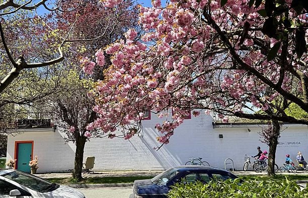 1732 Cypress Street Kitsilano