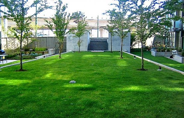 517 8988 HUDSON STREET, Vancouver BC V6P 6Z1 Marpole