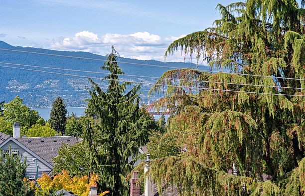 306 4463 W 10th Avenue Point Grey