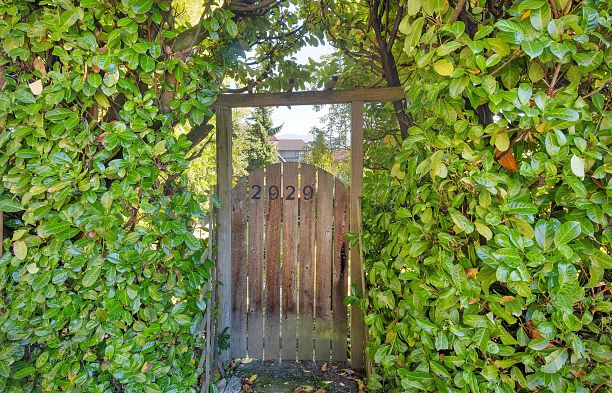 2929 W 24th Avenue Arbutus