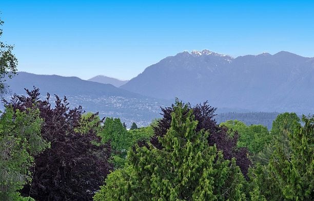 2 3538 W 14th Avenue Kitsilano